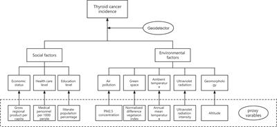 Environmental and social determinants of thyroid cancer: A spatial analysis based on the Geographical Detector